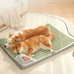 Warm Pet Cushion