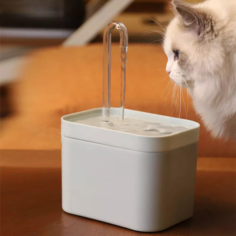 Ultra Quiet Water Fountain